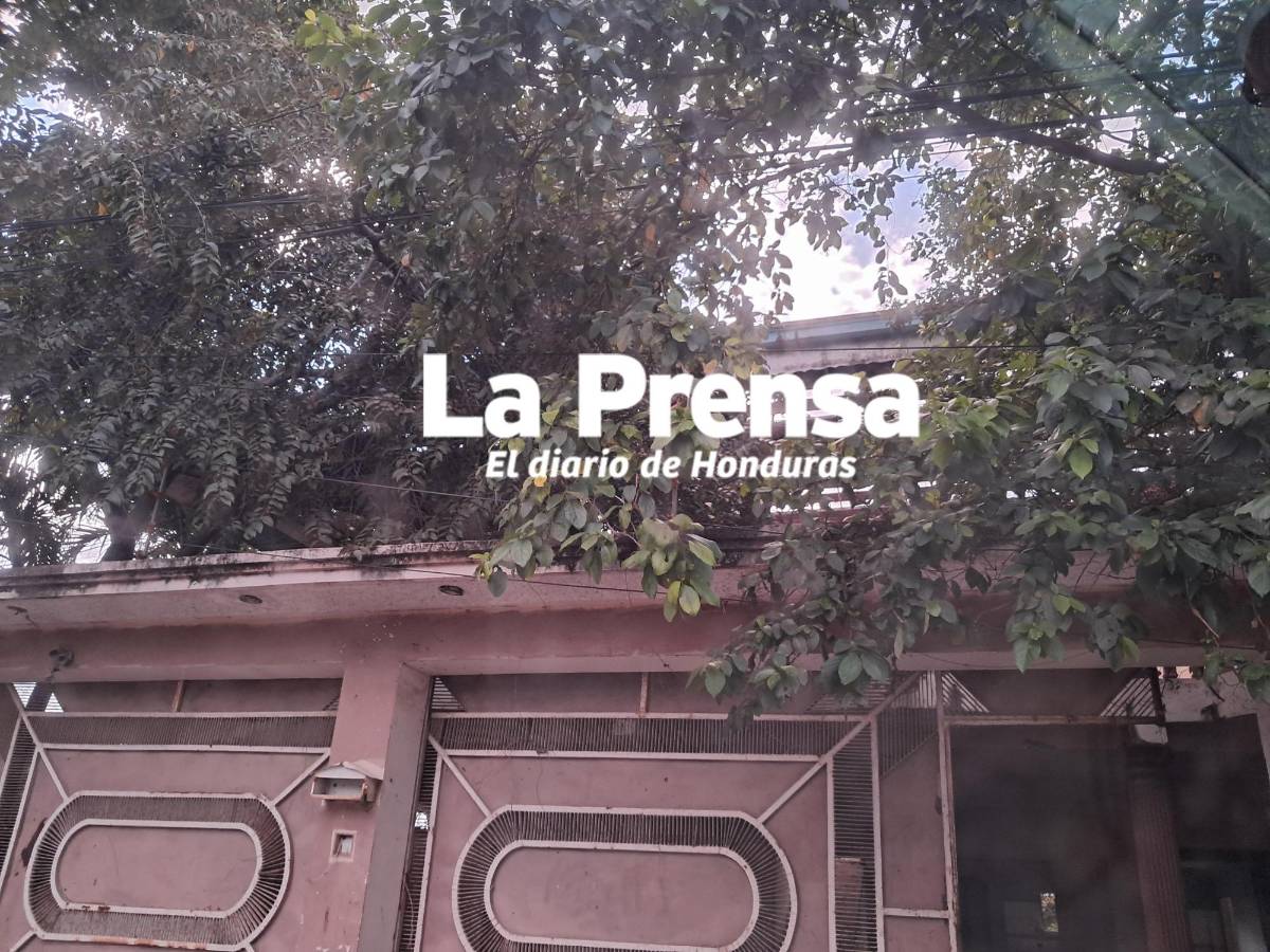 Fotos: así luce la casa de Los Olanchanos en San Pedro Sula