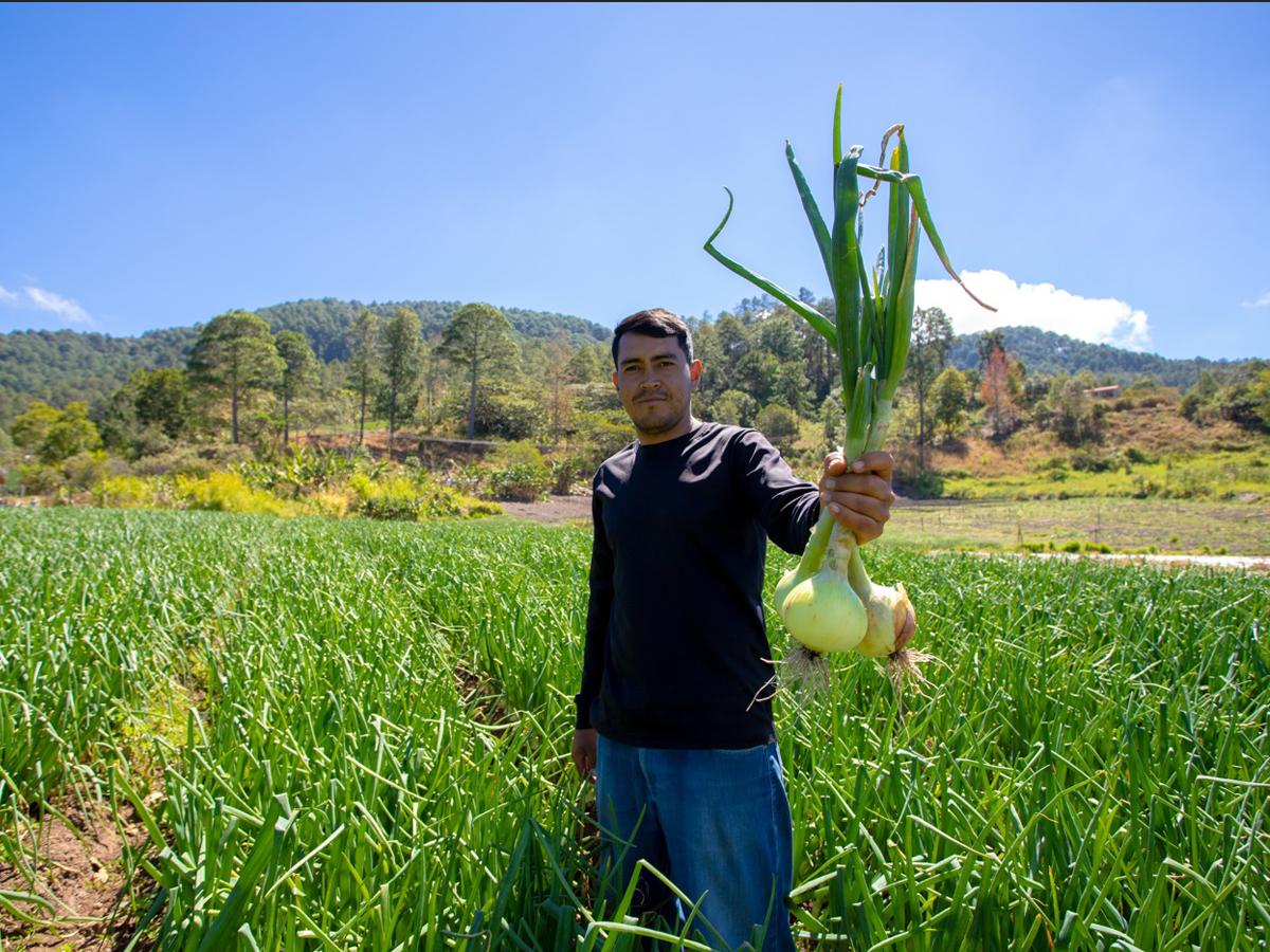 El programa De Mi Tierra ha contribuido activamente al desarrollo económico de los productores nacionales y sus familias.