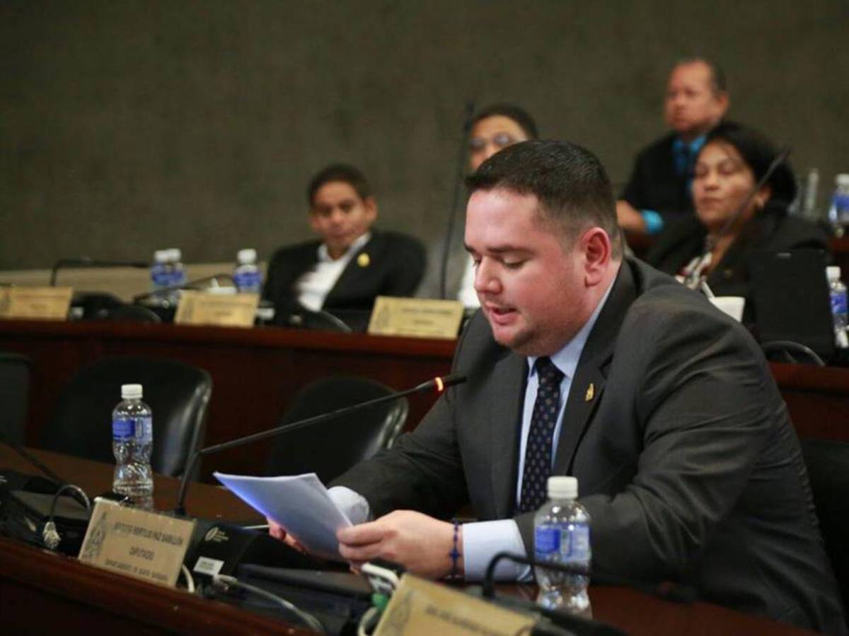 Abogados, docentes y un exárbitro buscan un curul en el Congreso Nacional