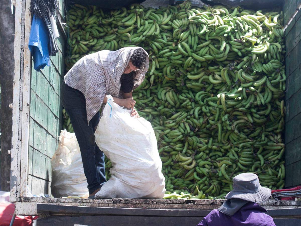 Mercados sampedranos: los productos que más subieron y los que mantienen su precio