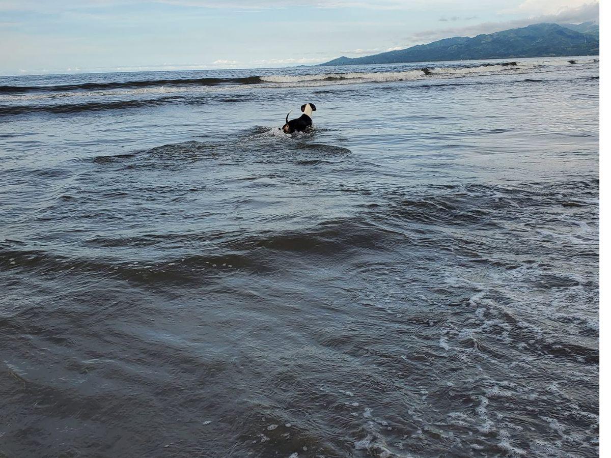 Omoa: las playas más bellas para disfrutar en la Semana Morazánica 2026