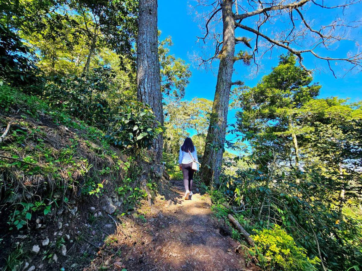 Entre aventuras, café y guacamayas, descubre el occidente de Honduras esta Semana Santa