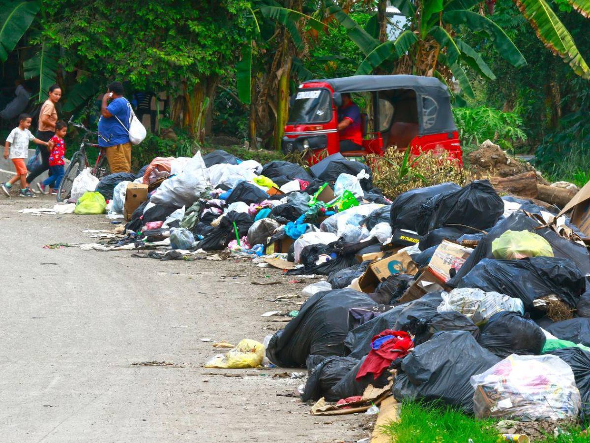 Basura “ahoga a San Pedro Sula, así lucen sus calles