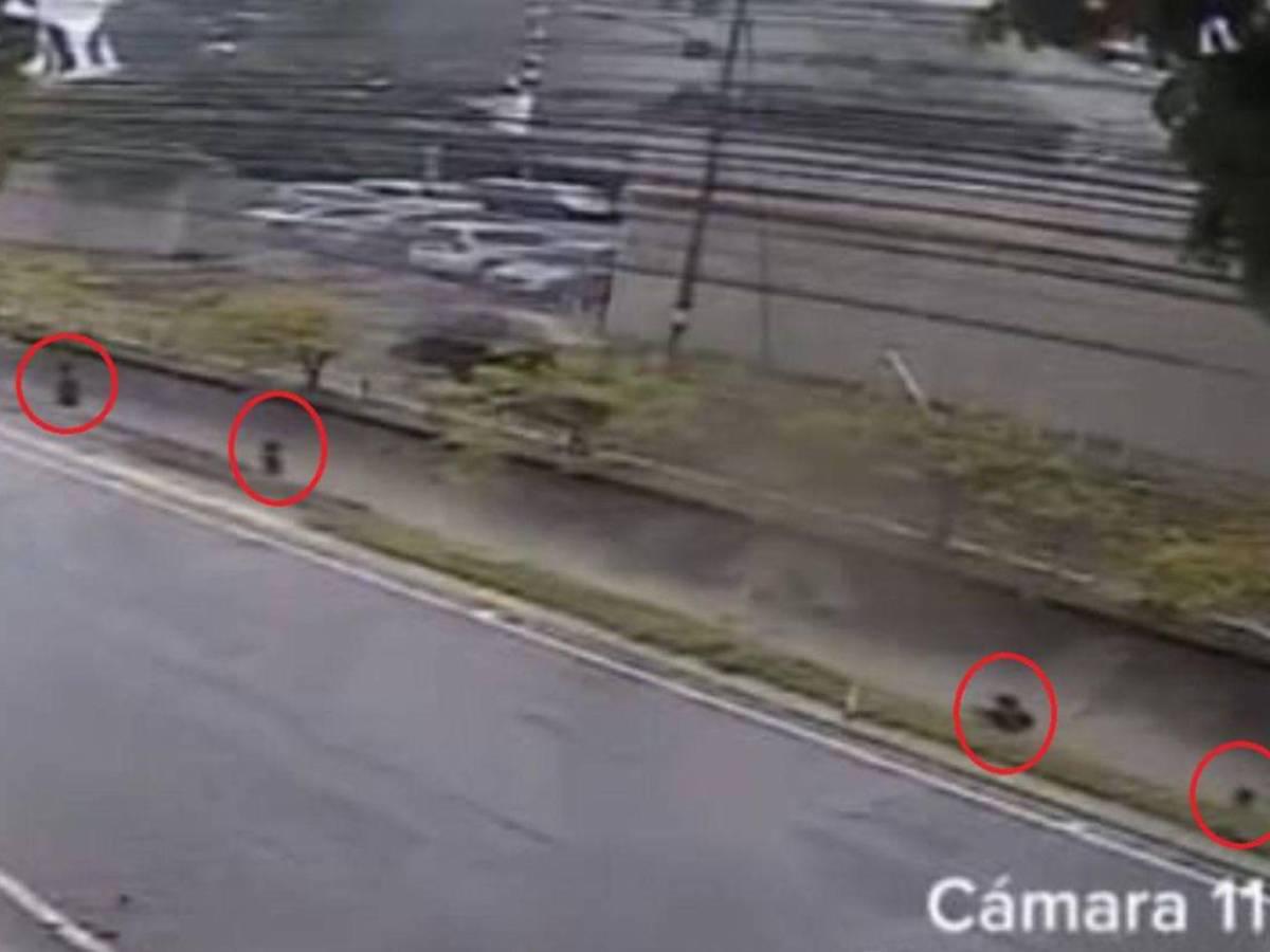 Estos son los rastros hallados del niño Elvis Eliú, según el desgarrador relato de su padrastro