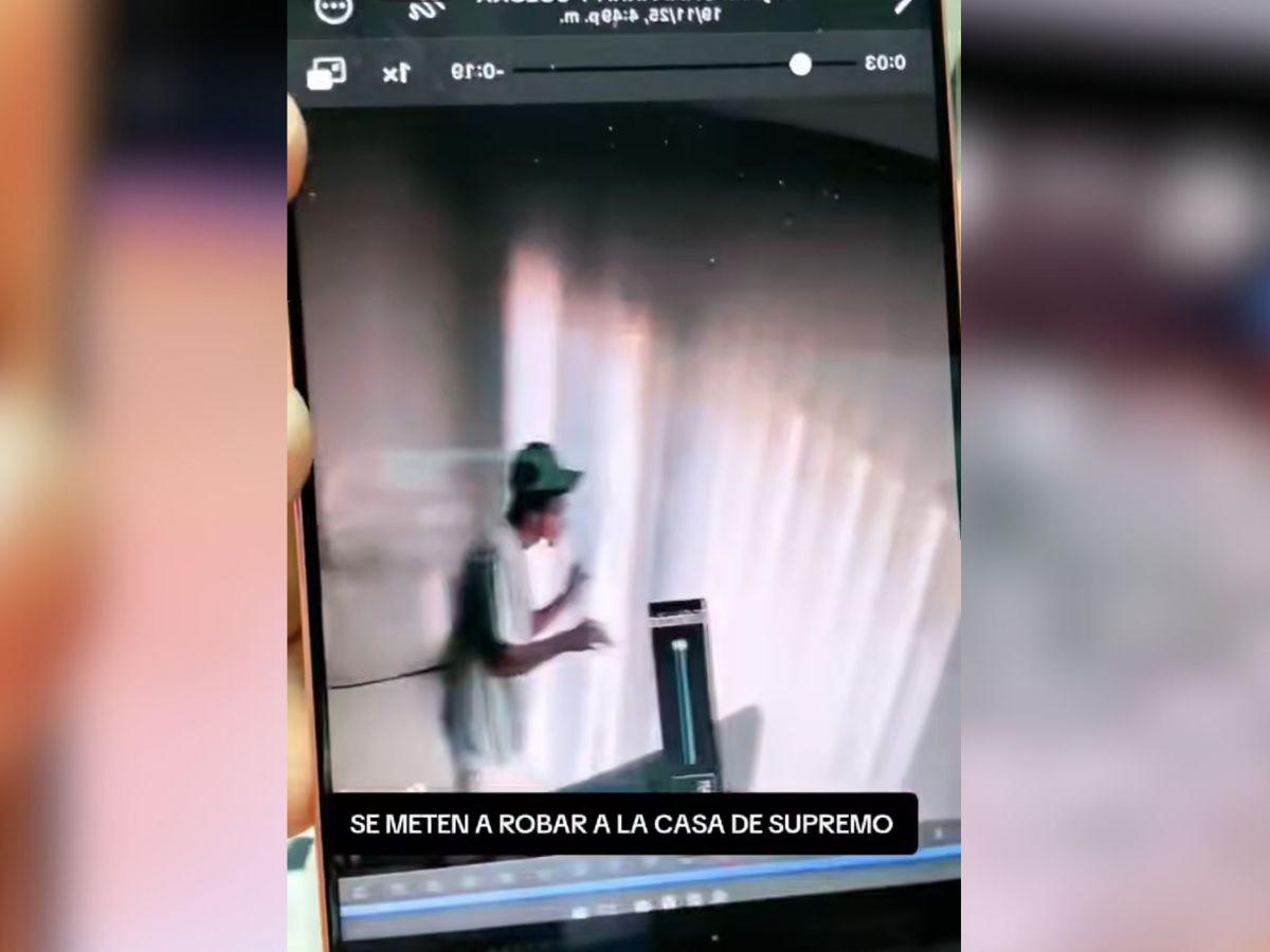 Cámaras de seguridad captan a ladrón en la casa de Supremo
