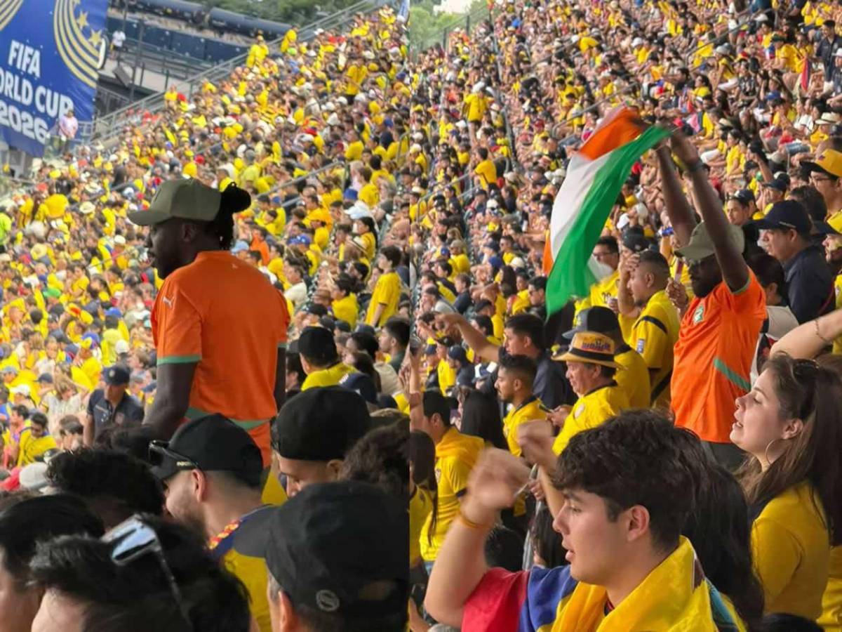 Héroe de Costa de Marfil, tristeza de Ecuador y afición, de la fiesta al drama en el Mundial