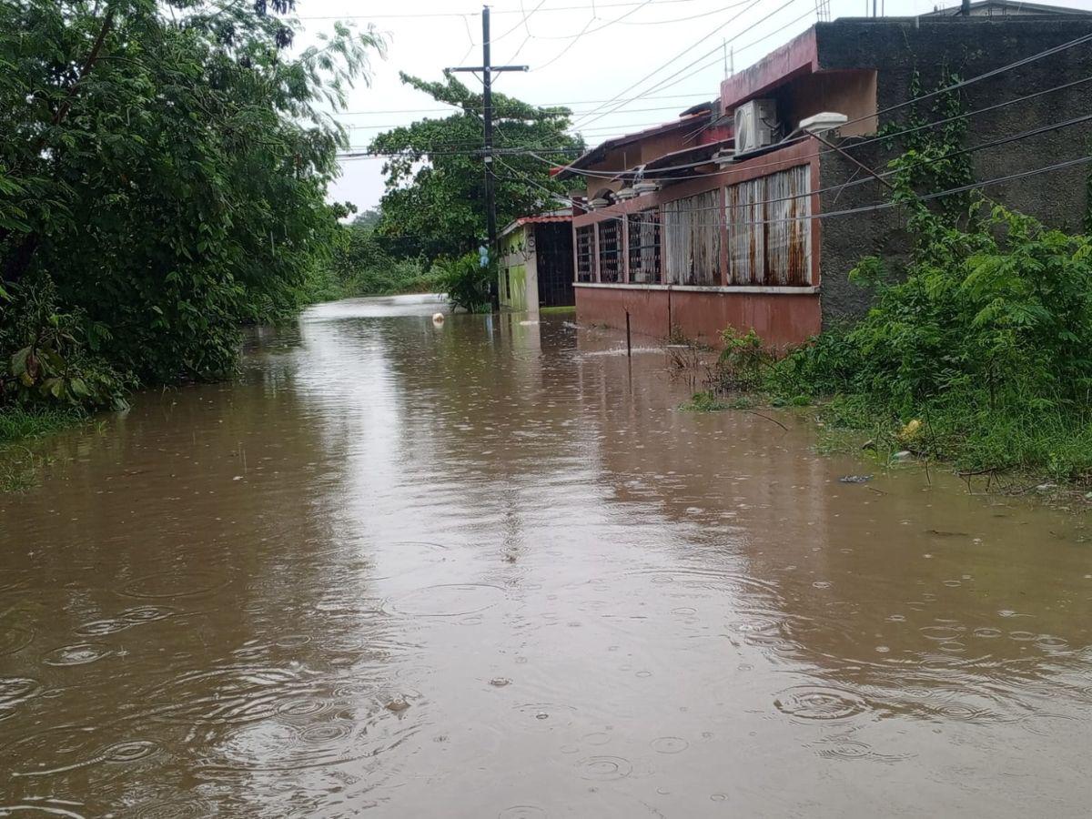 Lluvias causan daños en colonias bajas de San Pedro Sula