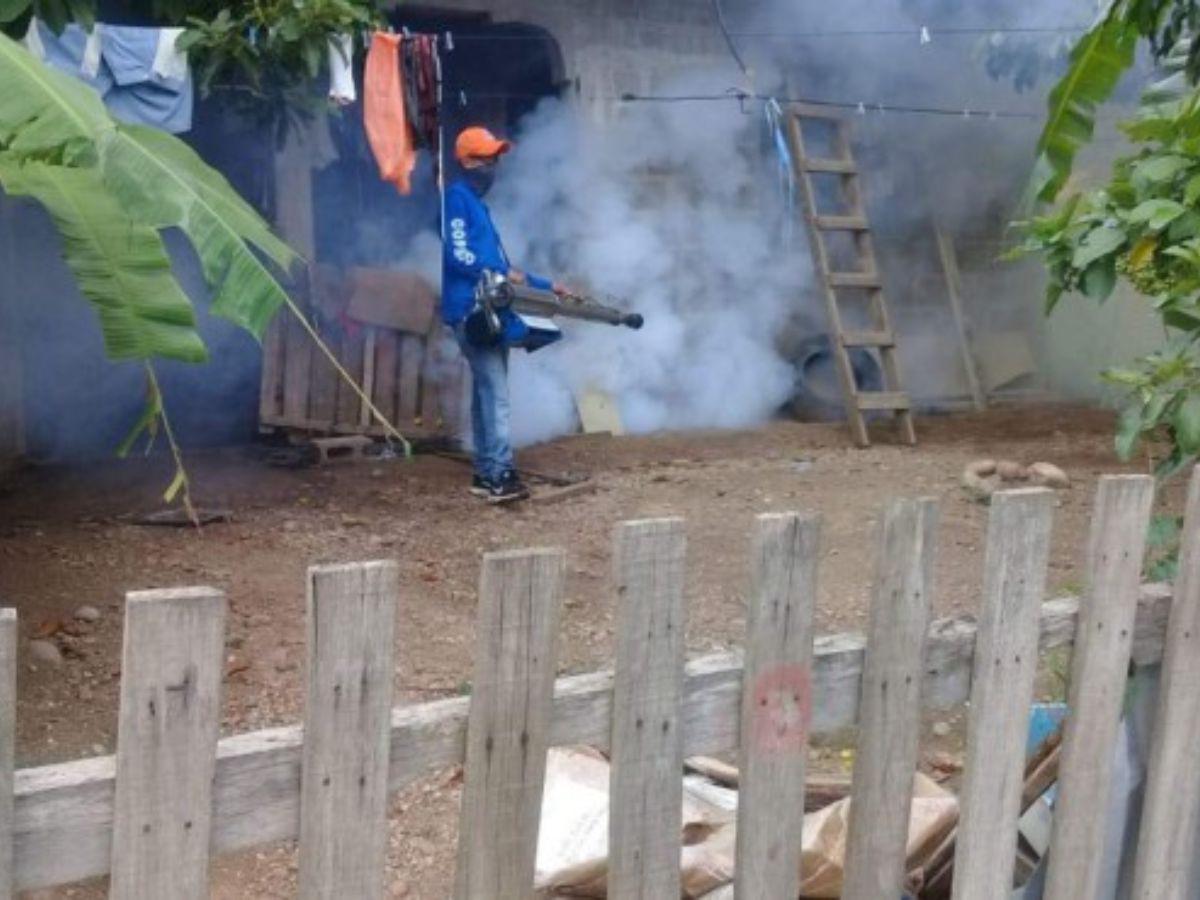 Tome nota: las 9 zonas más afectadas por dengue en SPS