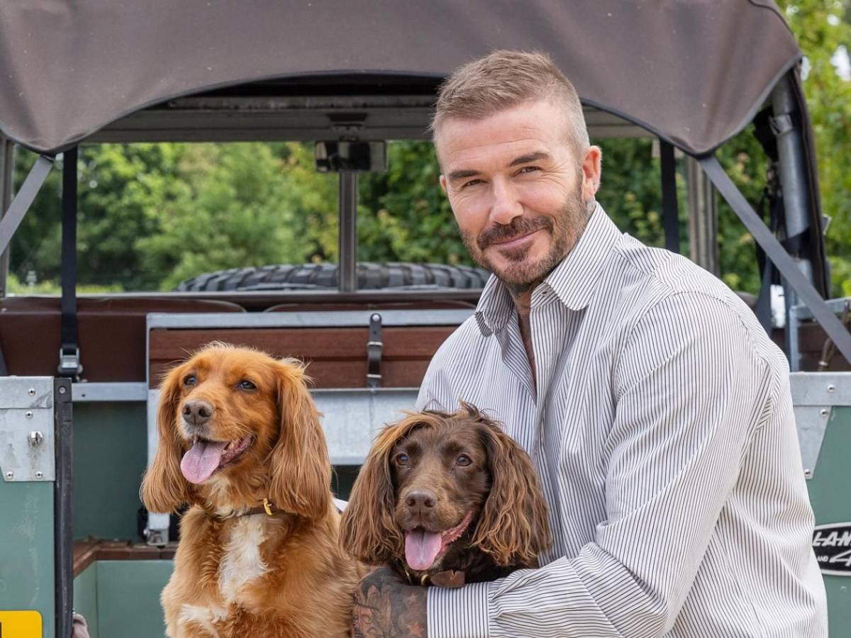 David y Victoria Beckham son denunciados por sus vecinos y se desata guerra: Es una falta de respeto