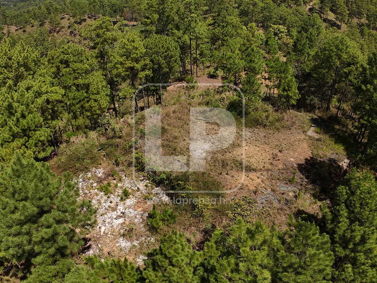 Abandono y deterioro: Así están hoy los bienes de Magdaleno Meza