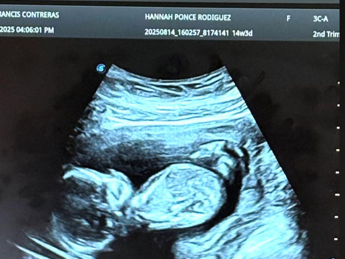 Hija de German Ponce anuncia su embarazo