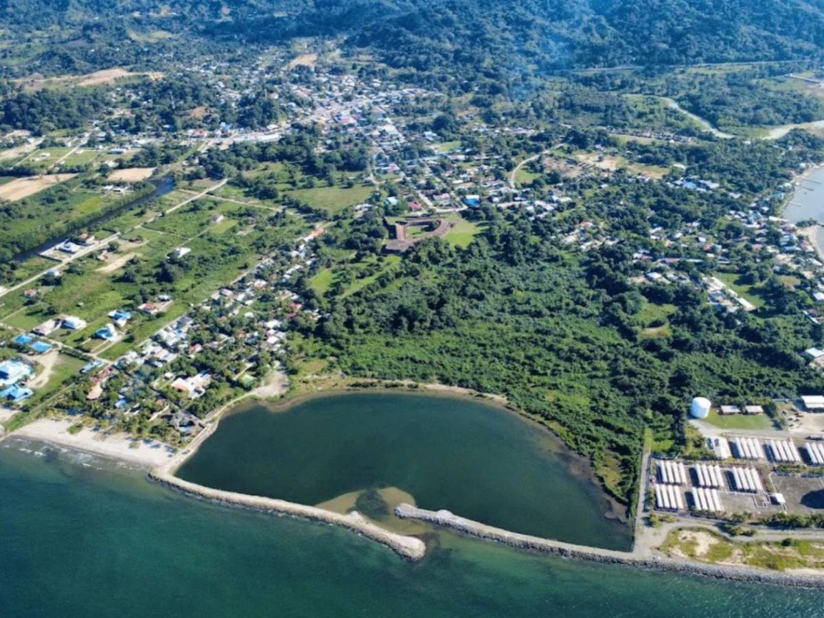 Regresa a la vida la laguna de Centeno con 37,000 mangles en Omoa