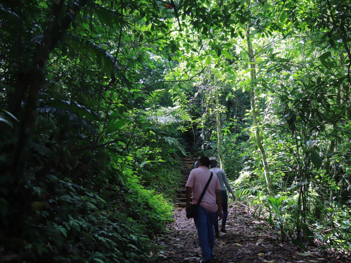 Destinos para realizar actividades al aire libre en la Semana Morázanica 2026