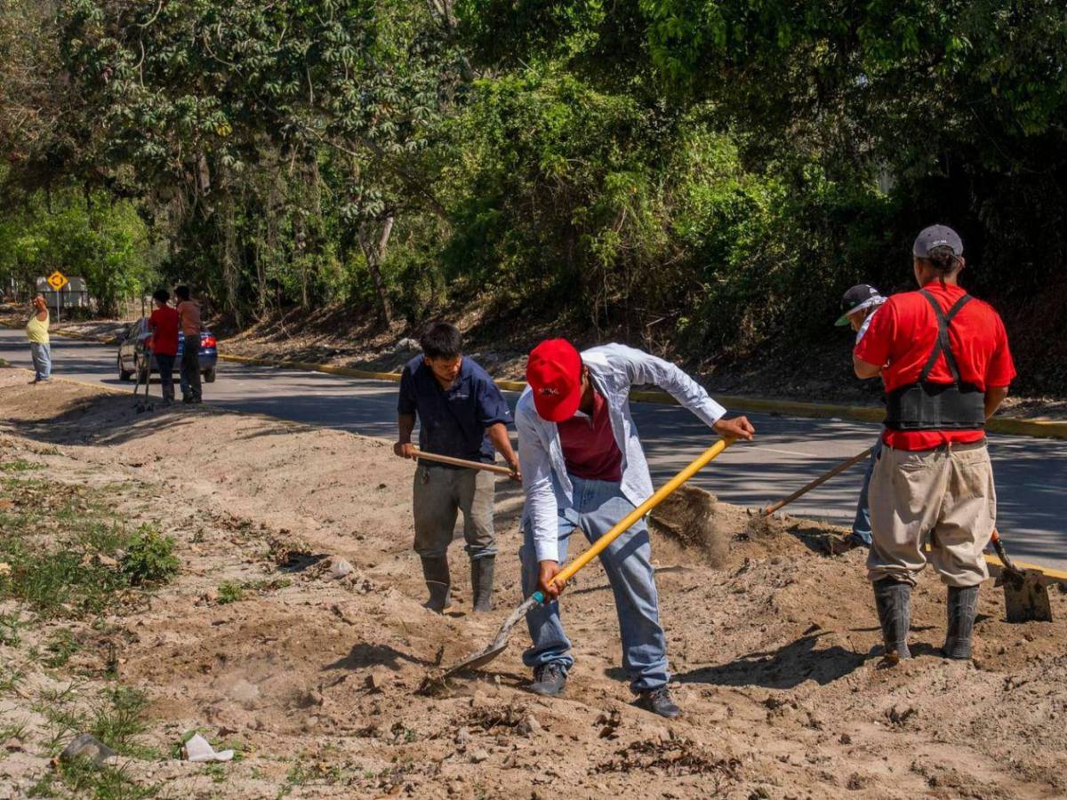 Así luce proyecto de trocha sur del bulevar de acceso a El Zapotal
