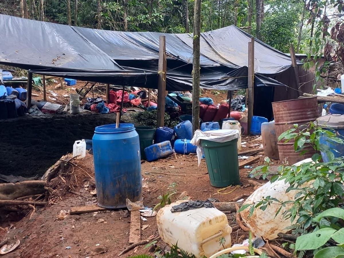 Incautados 945,000 arbustos de hoja de coca en Olancho