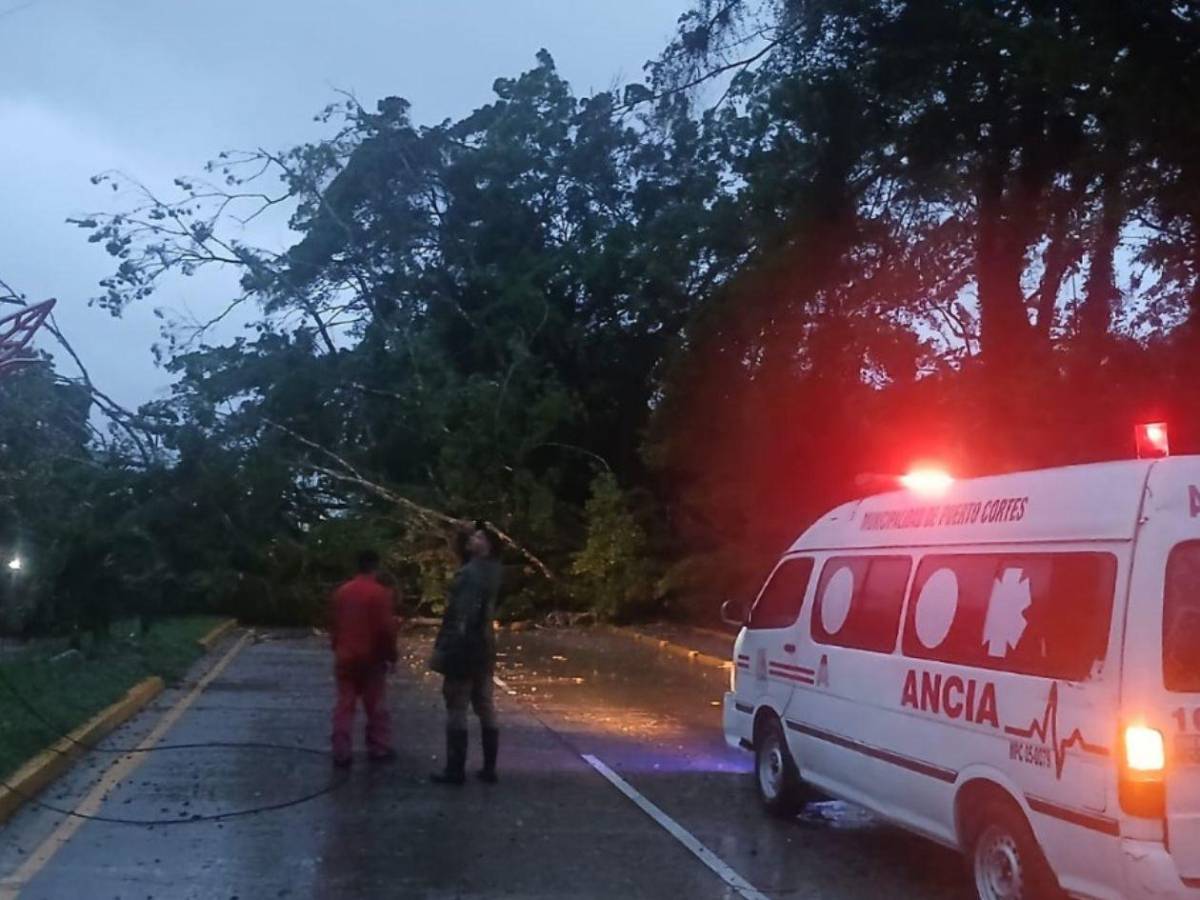 Alerta en la zona norte por lluvias; conozca sectores afectados
