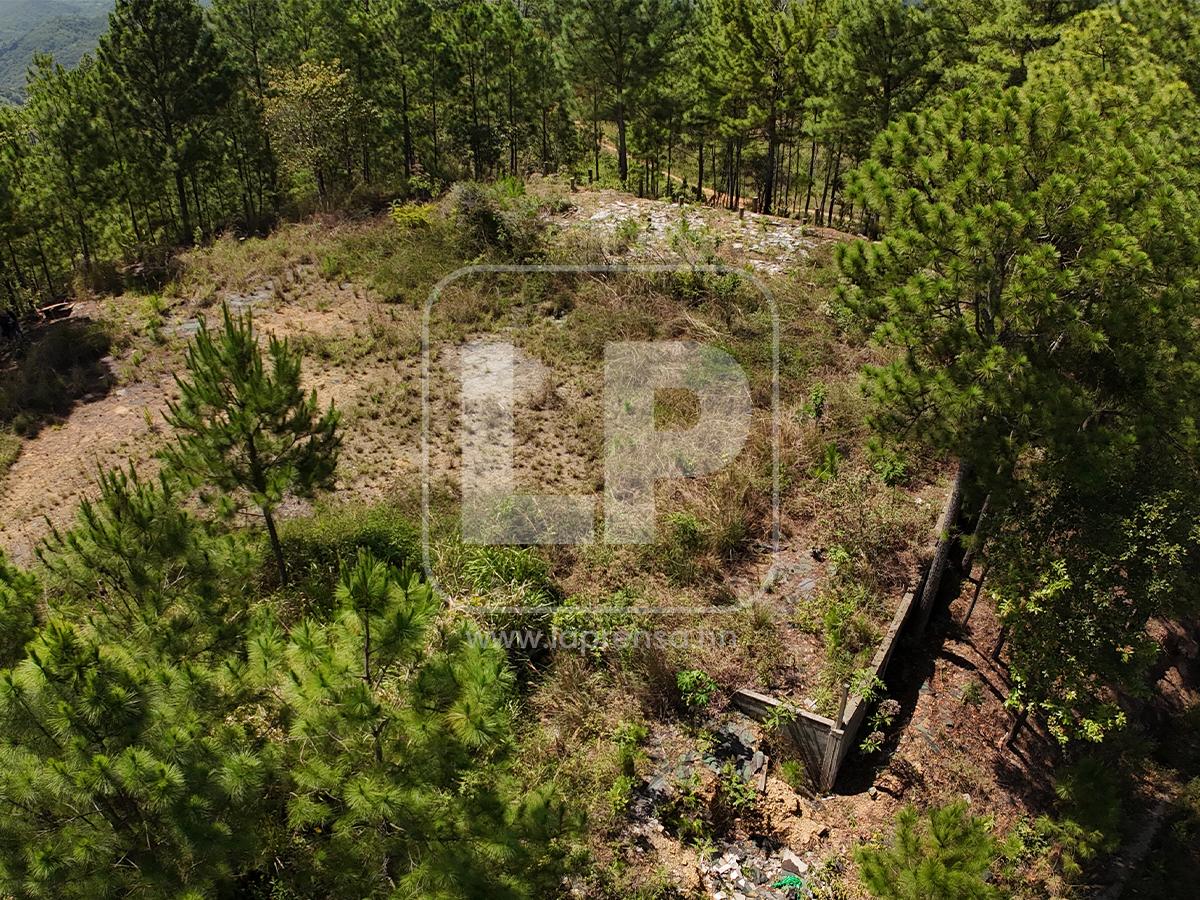 Abandono y deterioro: Así están hoy los bienes de Magdaleno Meza