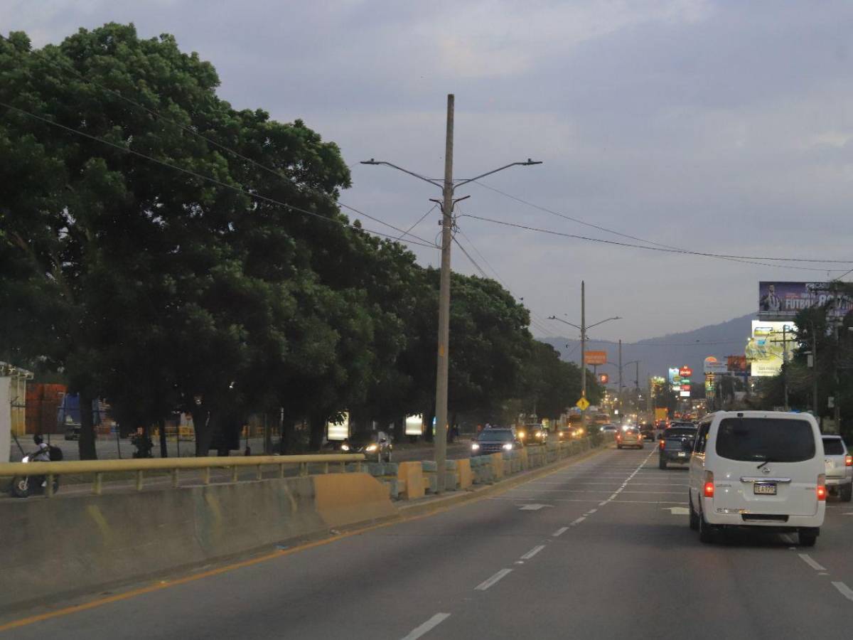 Estas son las zonas donde urge instalación de lámparas de alumbrado público