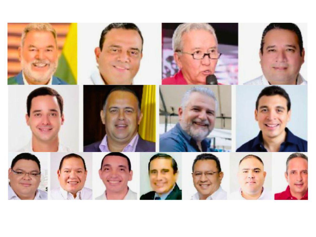 SPS: los 15 aspirantes a la alcaldía que competirán en primarias