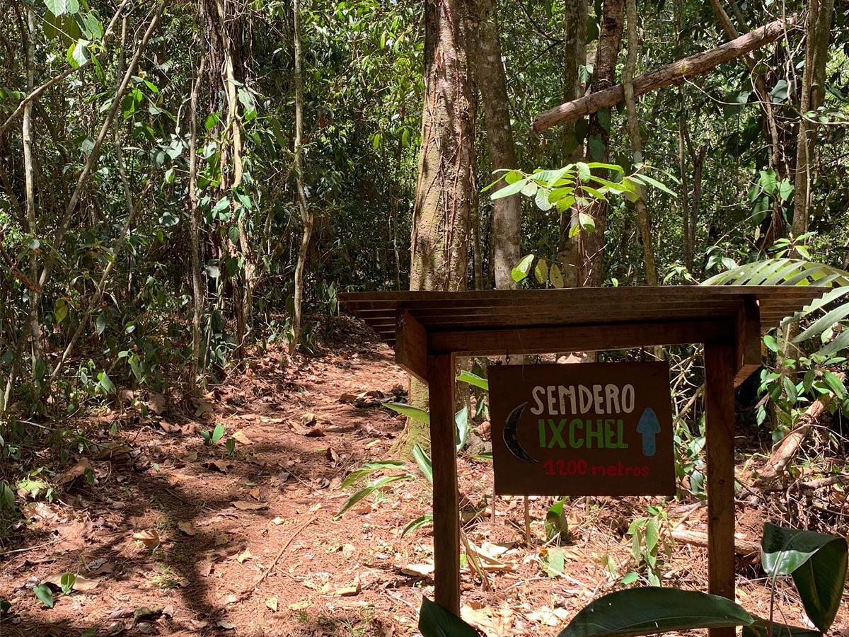 Explora el tour del café y el cacao en la finca, un viaje interactivo que fusiona historia, sabor y conexión con la naturaleza.
