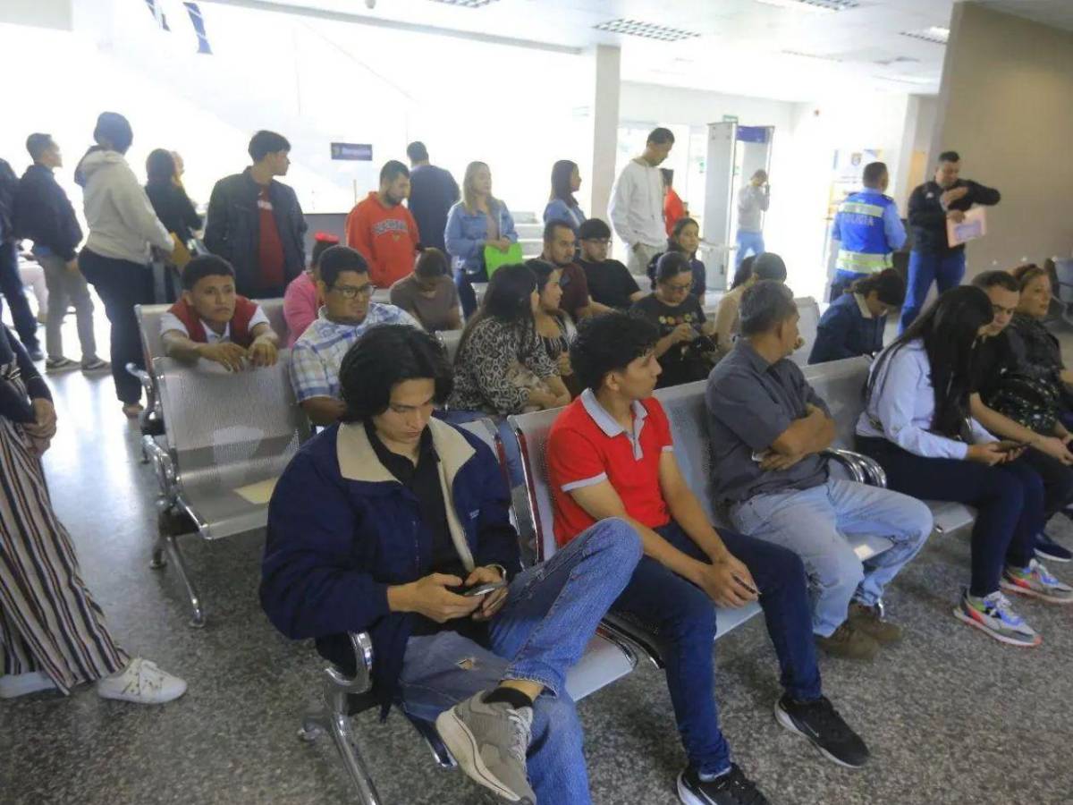Pasos para reponer la licencia de conducir tras robo o extravío en Honduras