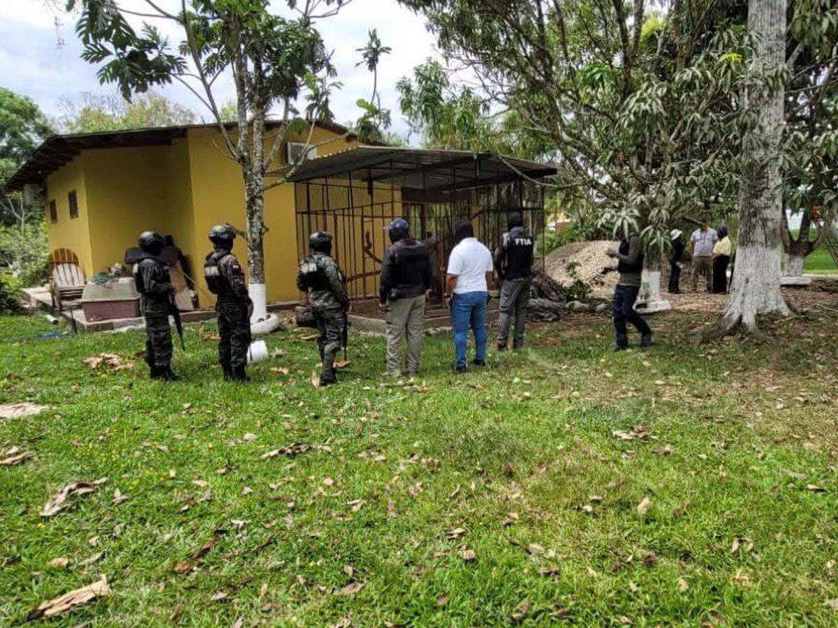 Un jaguar, un mono y una pitón tenía como mascotas hondureño detenido en Olancho