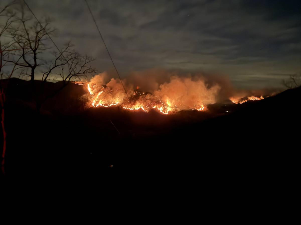 Estado de emergencia en las Carolinas por devastadores incendios