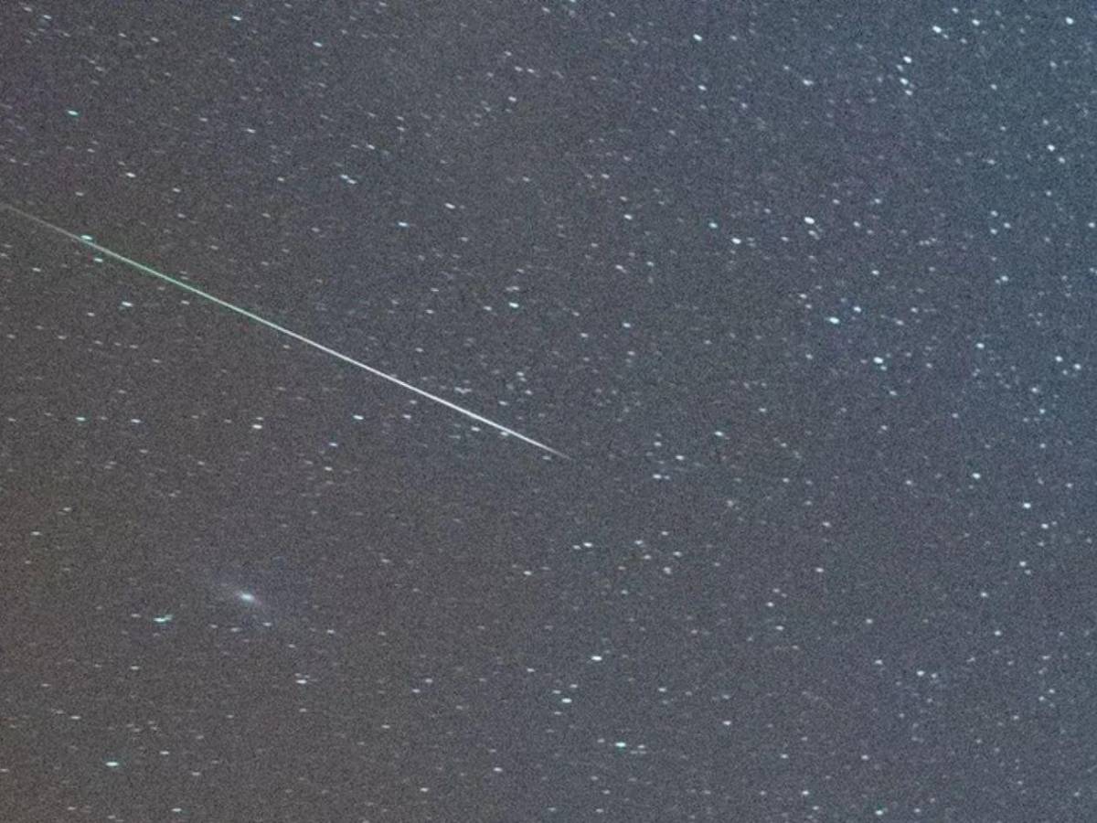 Lluvia de estrellas Leónidas hoy: hora y dónde ver en vivo