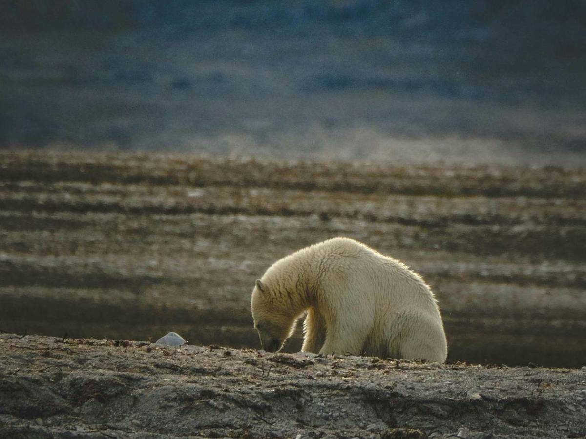 Días más largos: La Tierra gira más lento desde hace más de 3,6 millones de años