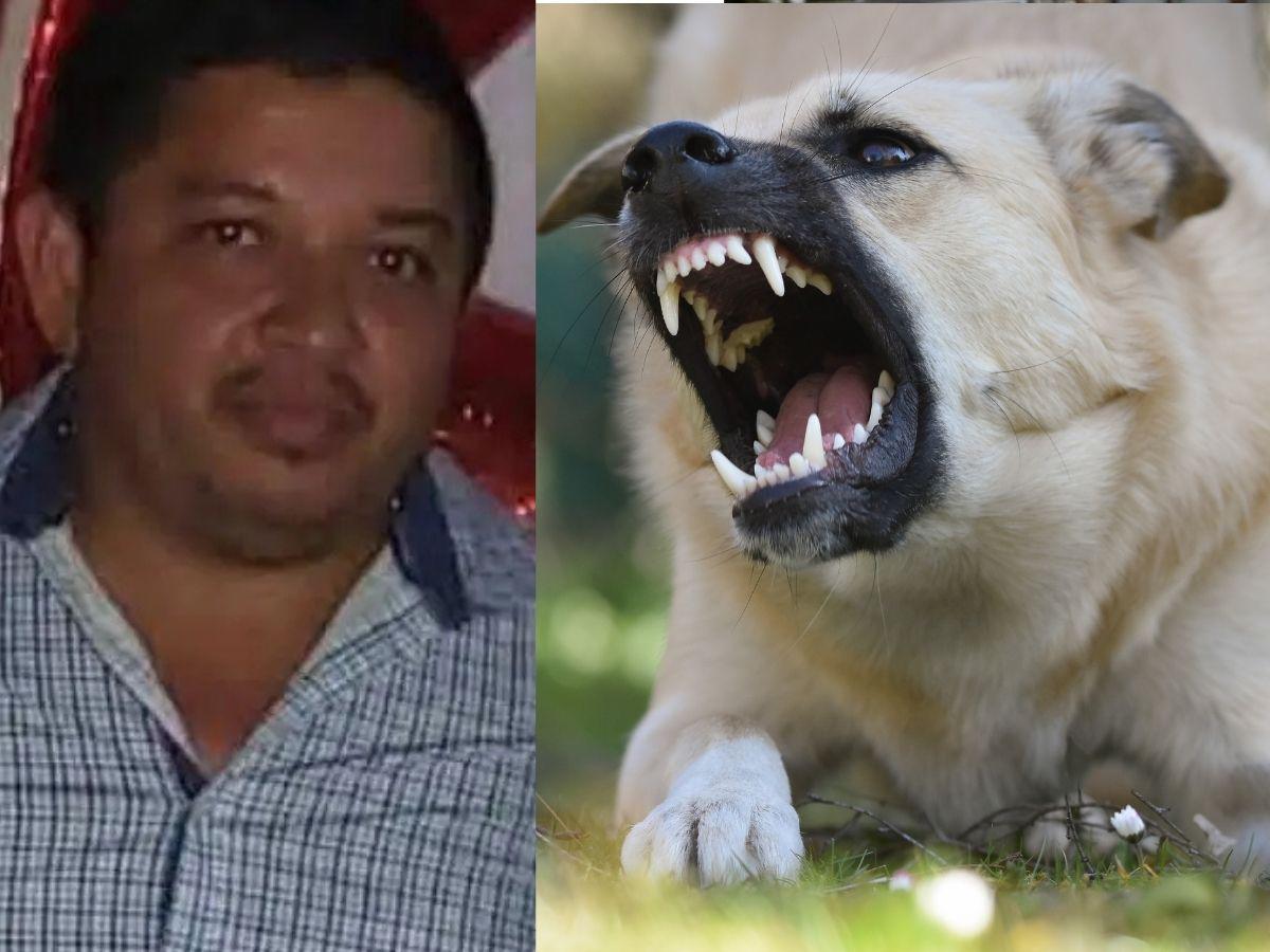 Un disparo por la espalda: así murió el exregidor Rafael Herrera tras reclamar por un perro