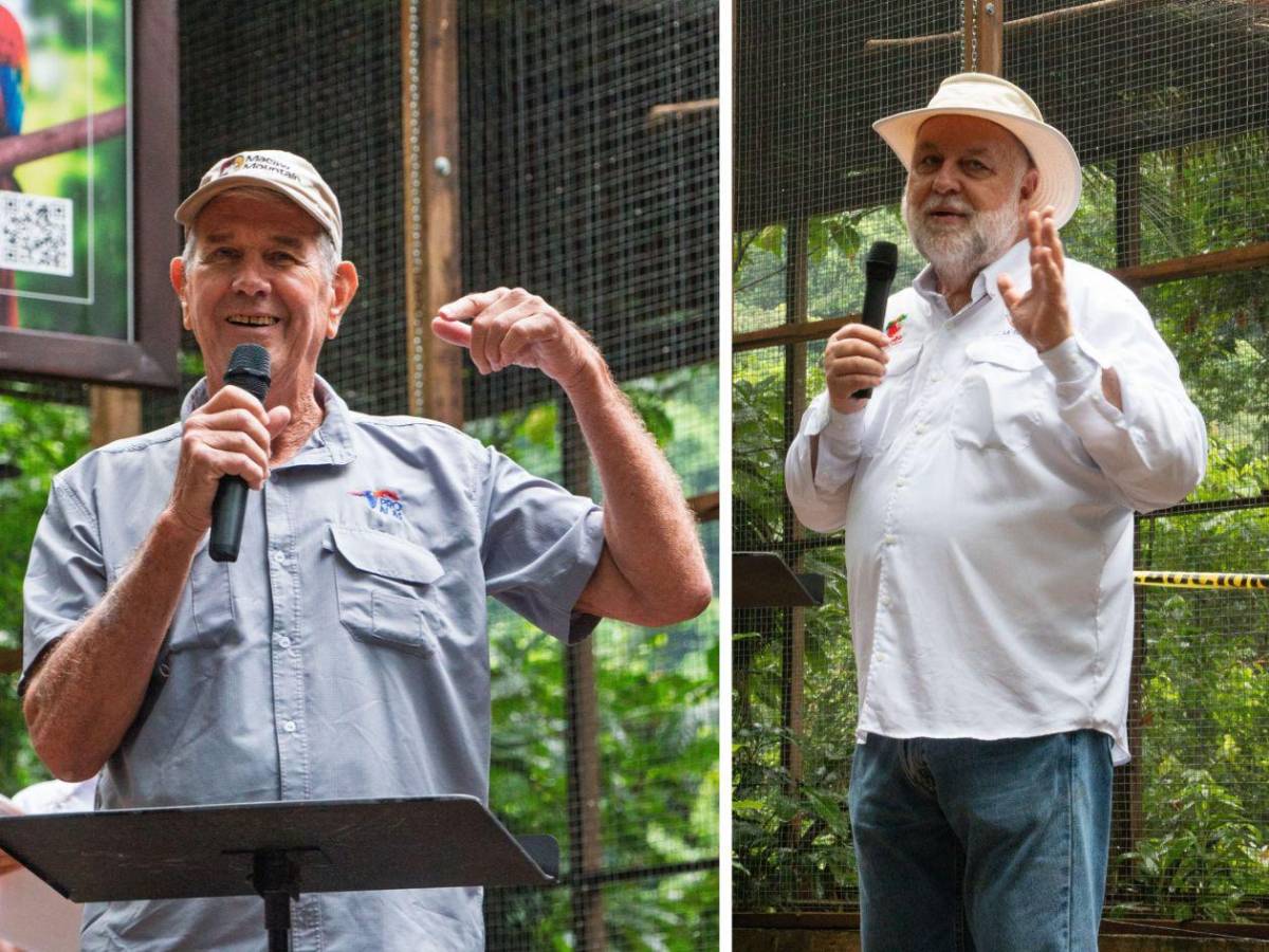 ¡Vuelen alto! Diez hermosas guacamayas vuelven a la vida silvestre en La Ceiba