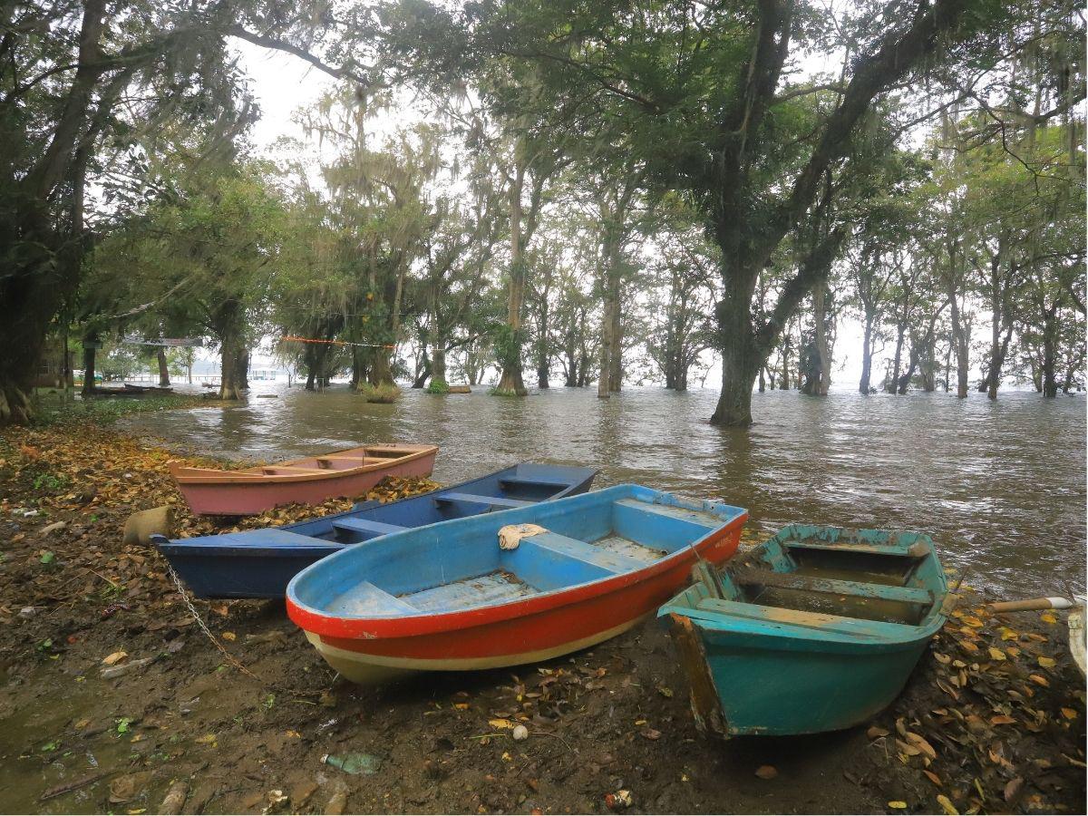 Impactos y afectaciones tras la recuperación del único lago en Honduras