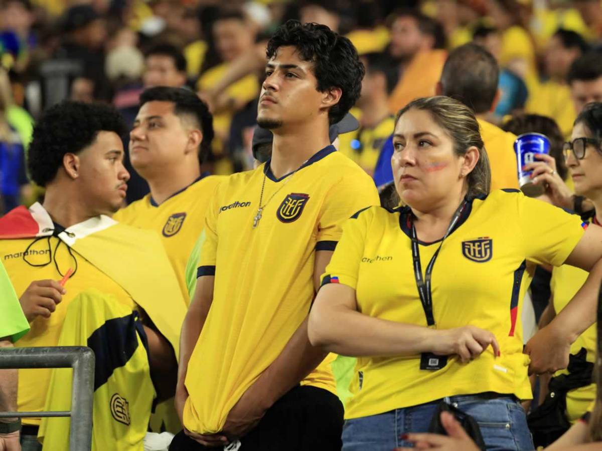 Héroe de Costa de Marfil, tristeza de Ecuador y afición, de la fiesta al drama en el Mundial