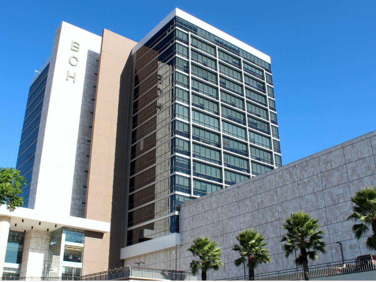 Declaran desierta subasta de L6,500 millones en bonos de la ENEE