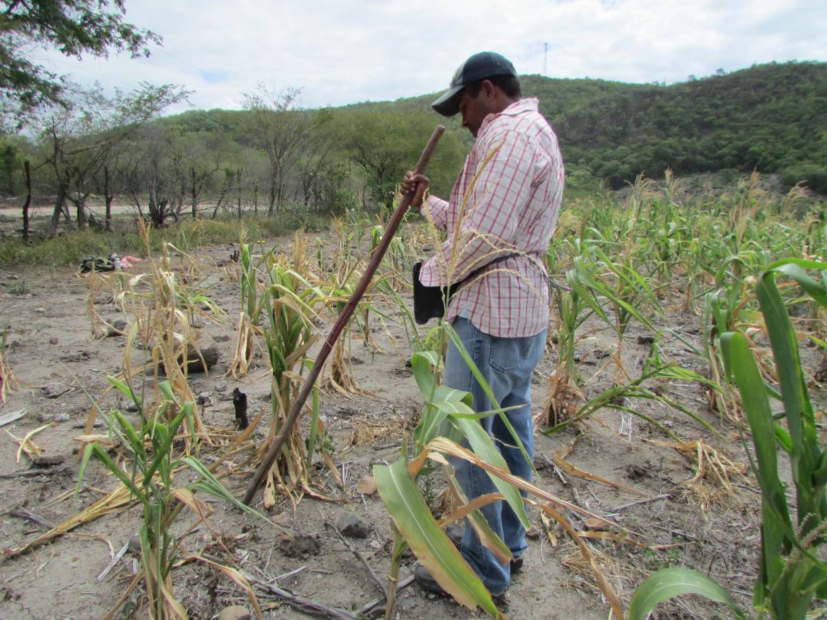 La ONU alerta del “empeoramiento” de la crisis alimentaria en Honduras