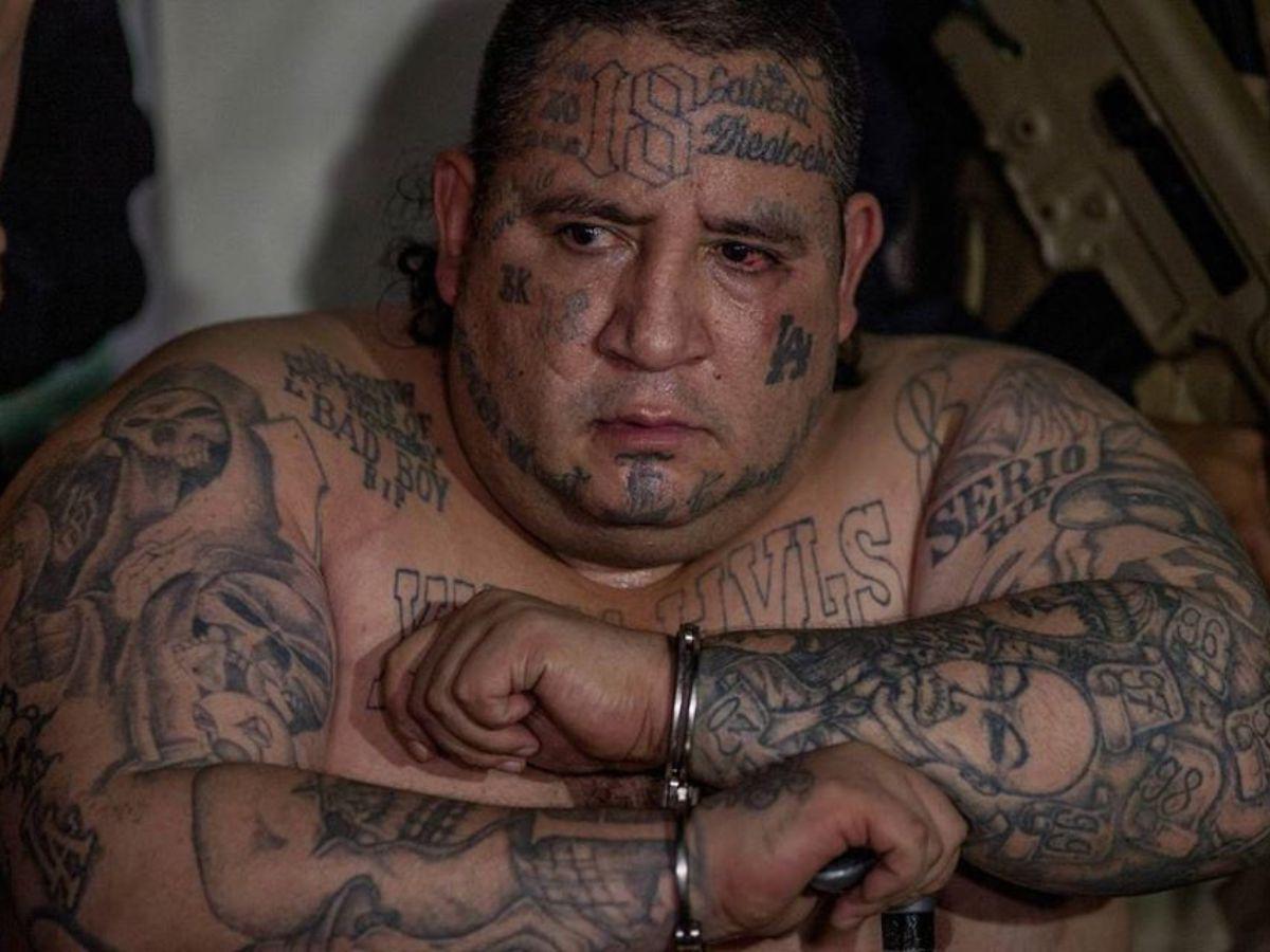 Boxer Huber: el día que lloró, su poderío y violento final