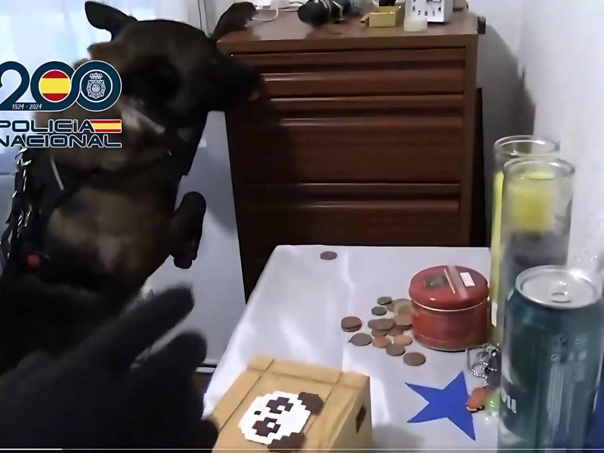 Capturan a ocho mareros hondureños en redada en España