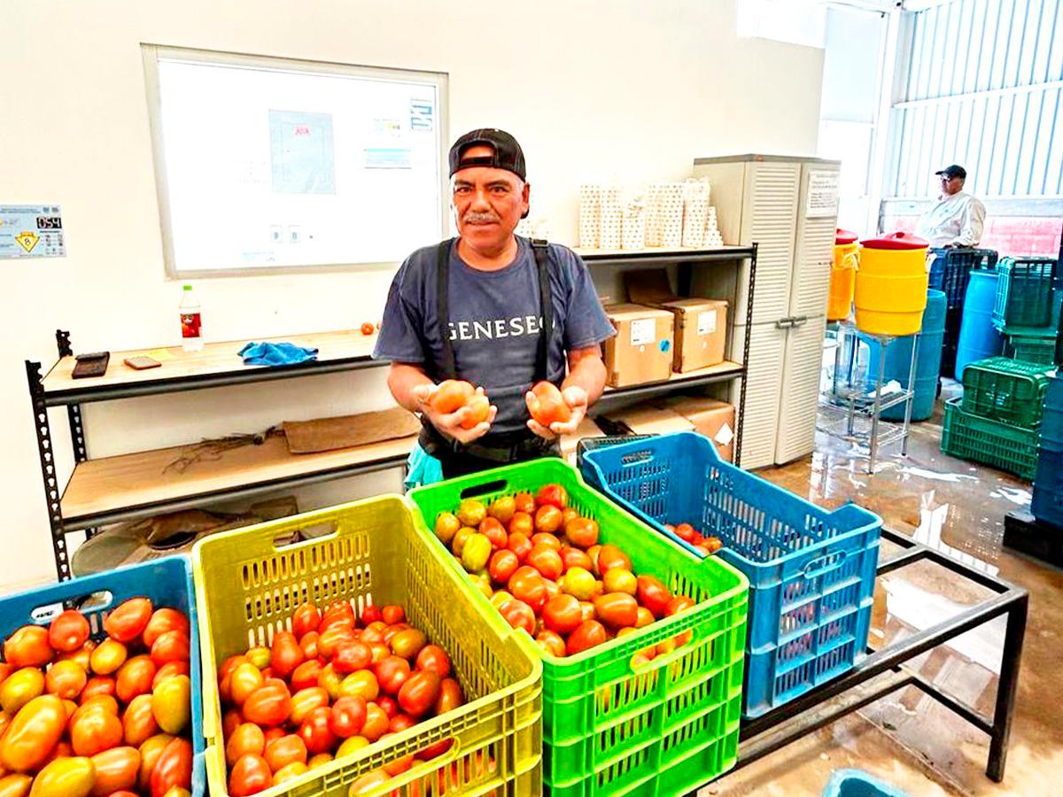 En la actualidad, GreenTech Americas es una plataforma estratégica para la agricultura protegida en México y América Latina.