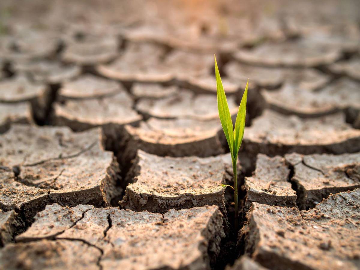 Histórico: la Tierra enfrenta bancarrota hídrica, según la ONU