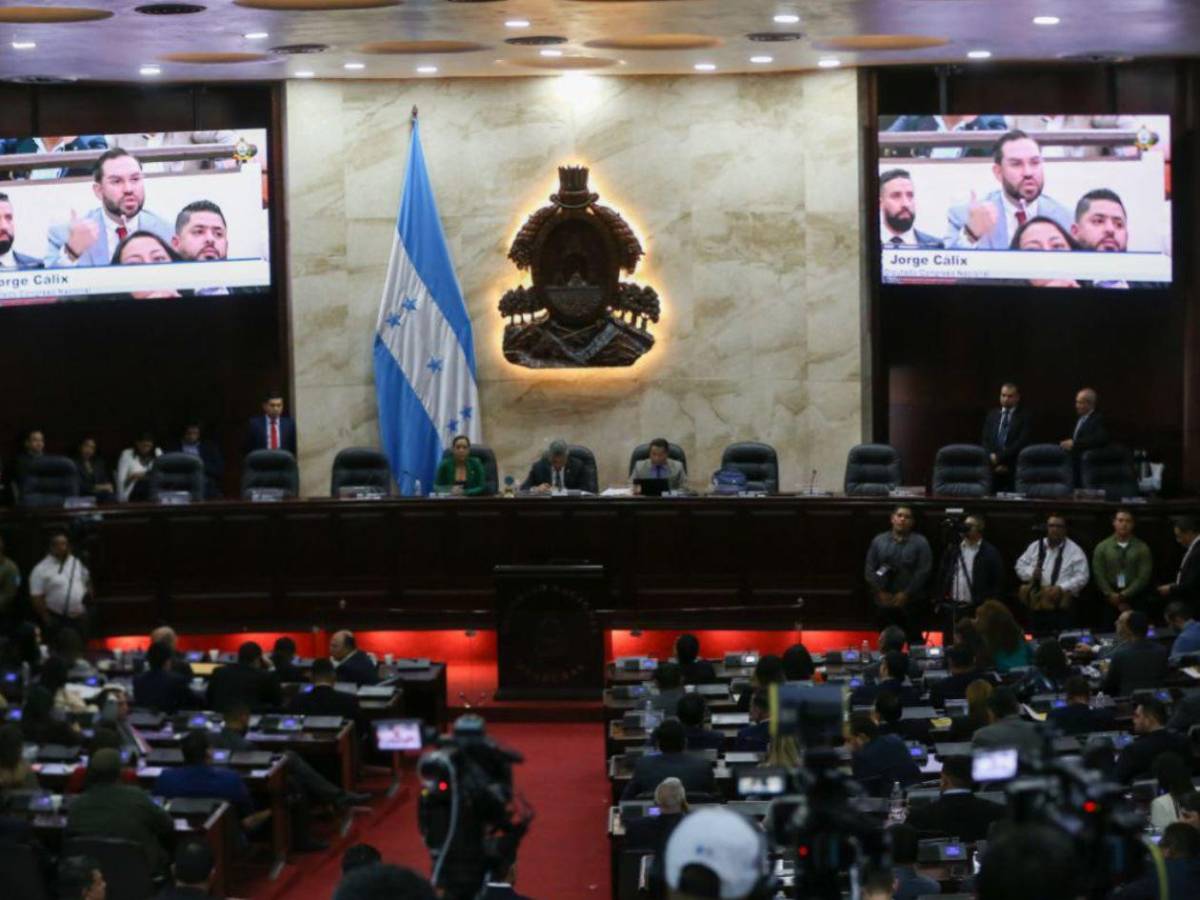 ¿Quién será el jefe de bancada del Partido Libre?