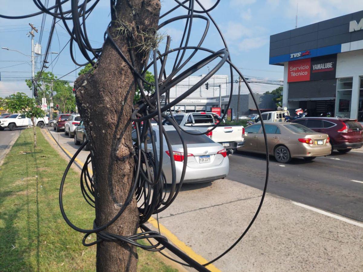 ¡Peligro!, cables caídos ponen en riesgo a los peatones en SPS