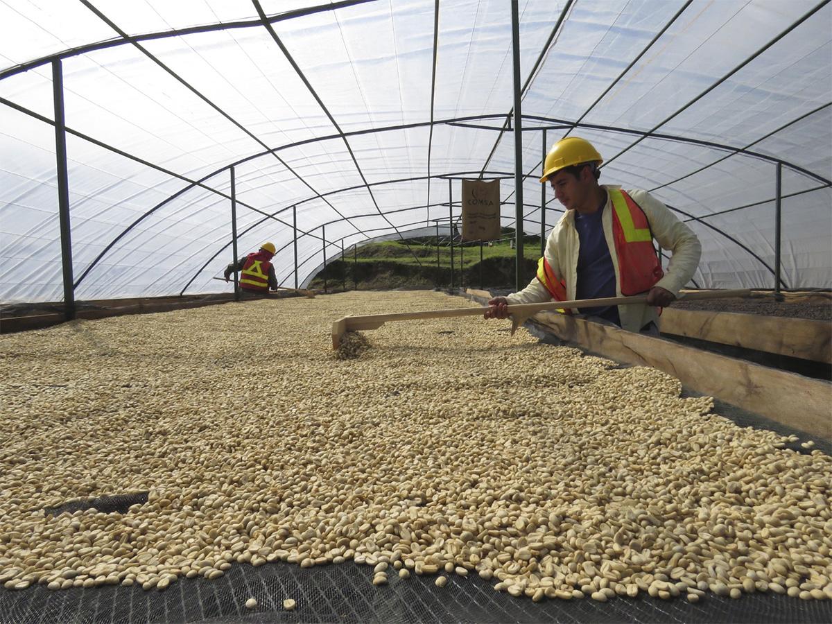 Participantes del Proyecto ComRural III se preparan para fortalecer su infraestructura productiva.