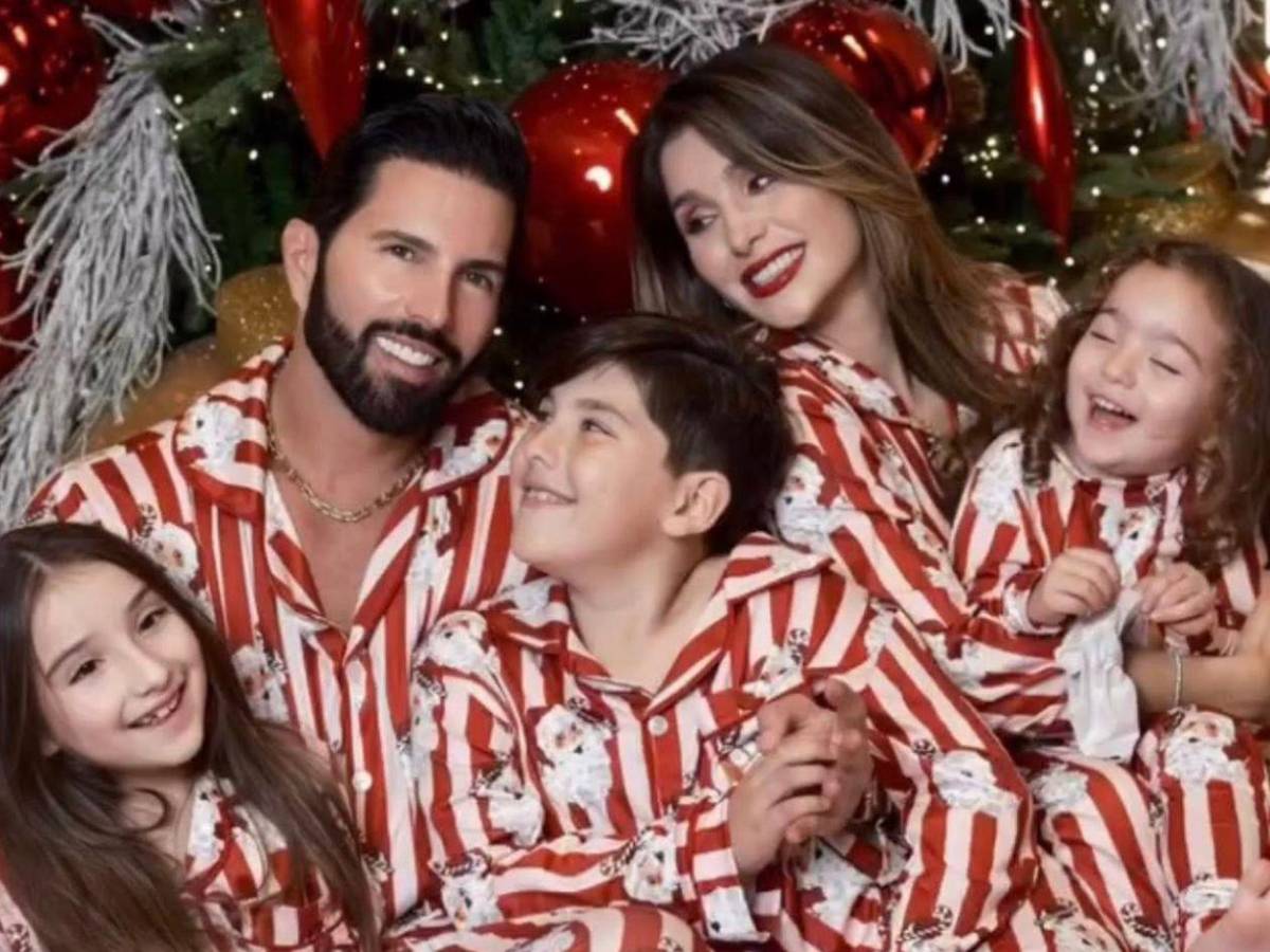 Así lucen los árboles navideños de los famosos