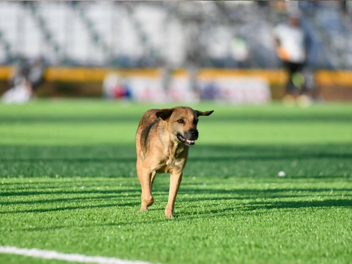 Real España celebra, Juticalpa cabizbajo, inesperado invasor y homenaje
