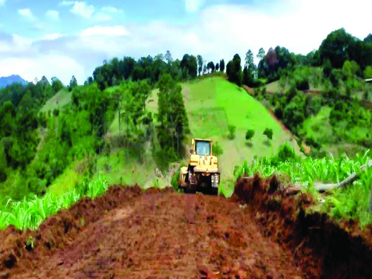 Ministerio Público investiga denuncias de carretera en reserva natural