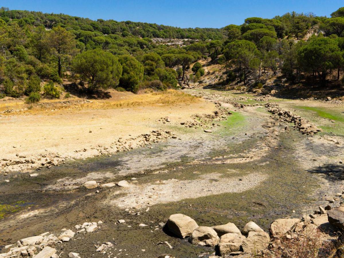 Histórico: la Tierra enfrenta bancarrota hídrica, según la ONU