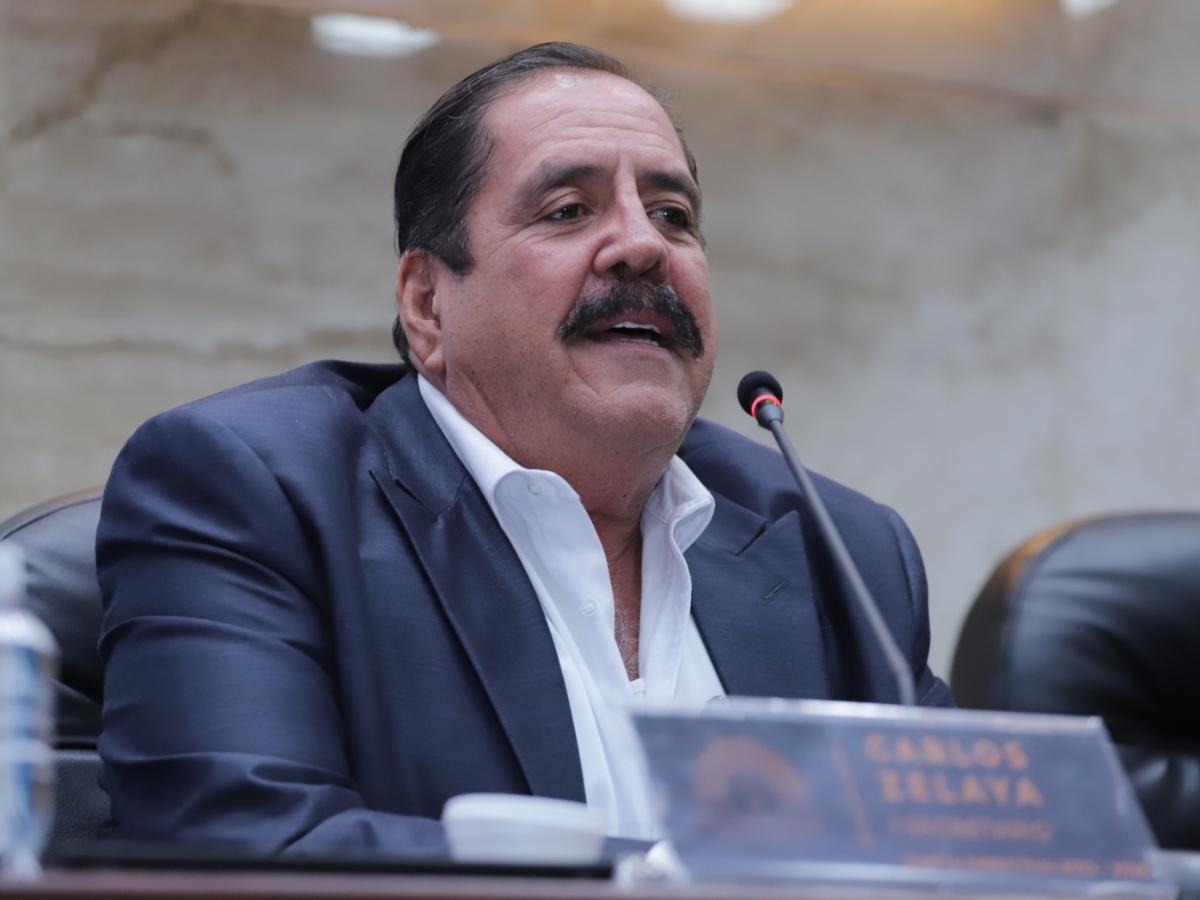 Carlos Zelaya presenta su renuncia formal como diputado