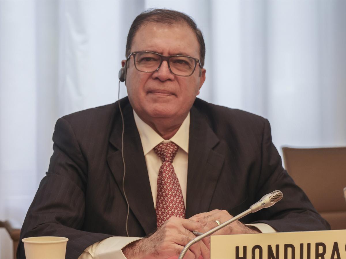 Fredis Alonso Cerrato Valladares, secretario de Estado en el Despacho de Desarrollo Económico.