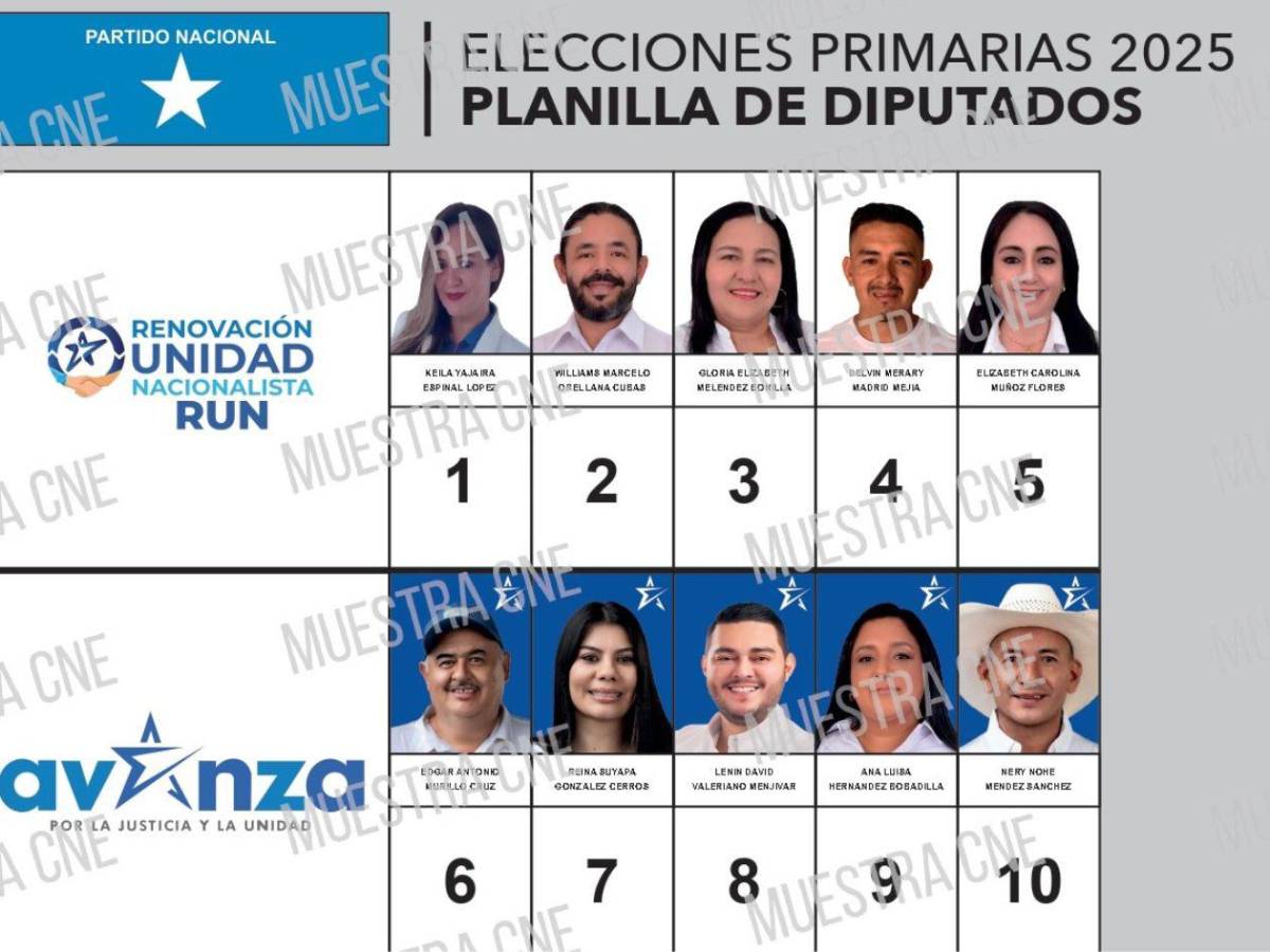 Aspiran a ser diputados del departamento de Lempira