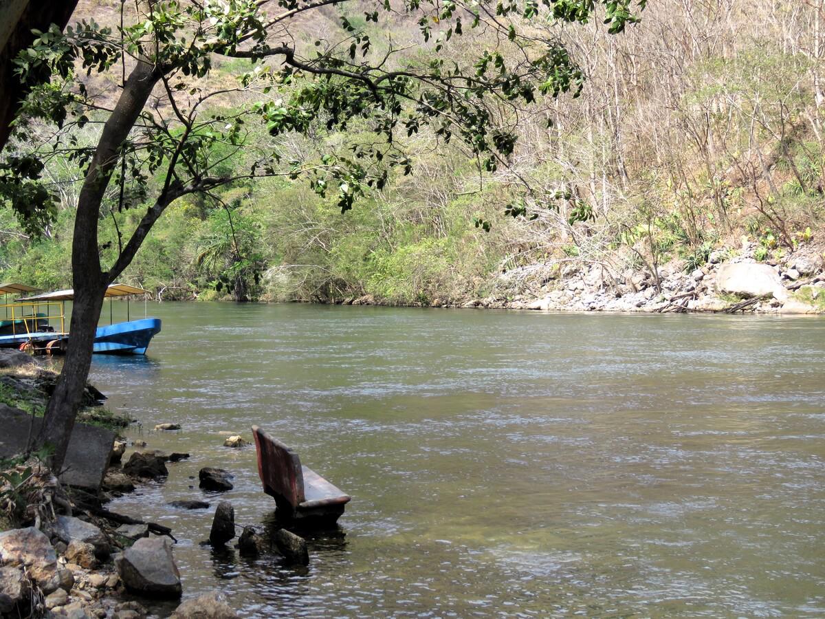 Santa Cruz de Yojoa realizará su primera Feria Internacional de la Tilapia